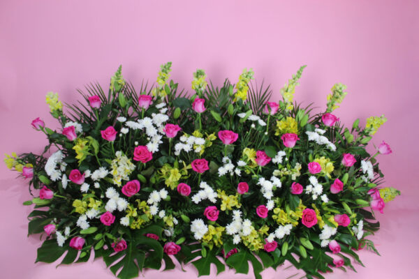 Jardinera con Argentina y 48 Rosa Fucsia